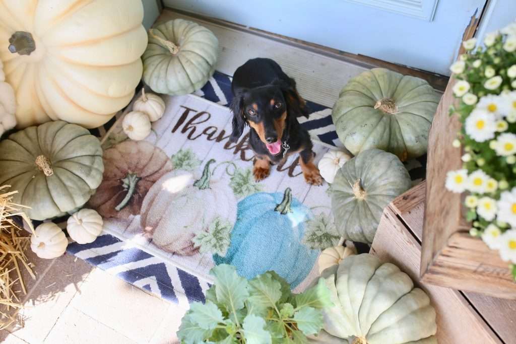 layered rugs on front porch for fall layered rugs on front porch for fall